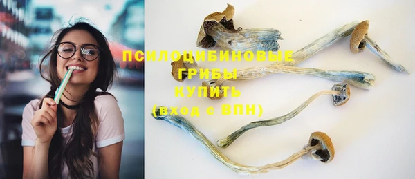 мескалин Касимов
