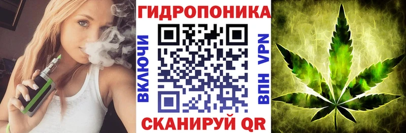 Бошки марихуана гибрид  Купить закладки  Махачкала 